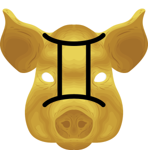 gemini pig