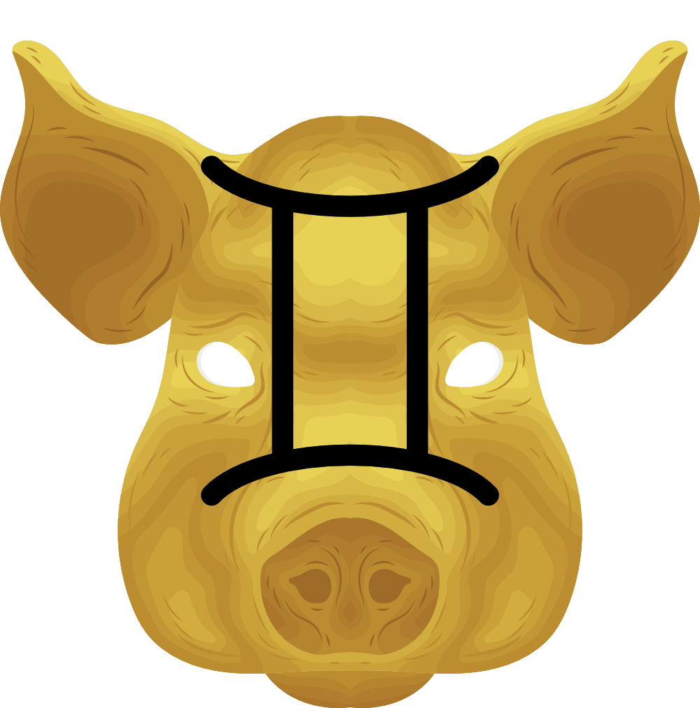 gemini pig