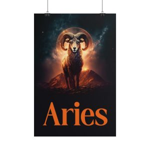 aries poster